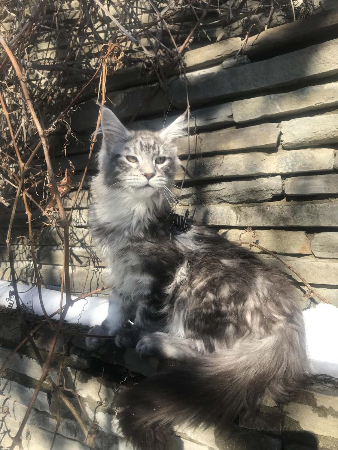 Более 120 выпускников.&nbsp;Стали любимыми членами вашей семьи&nbsp;More than 120 graduates. Become beloved members of your family